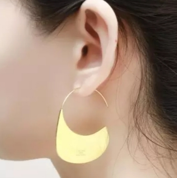 Modern Disc Hoop Earrings - Picture 5 of 6